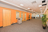 Coworking Spaces Whitehall Offices in Mississauga ON