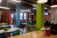 Coworking Spaces Petridish Shared Office Space in Dunedin OTA